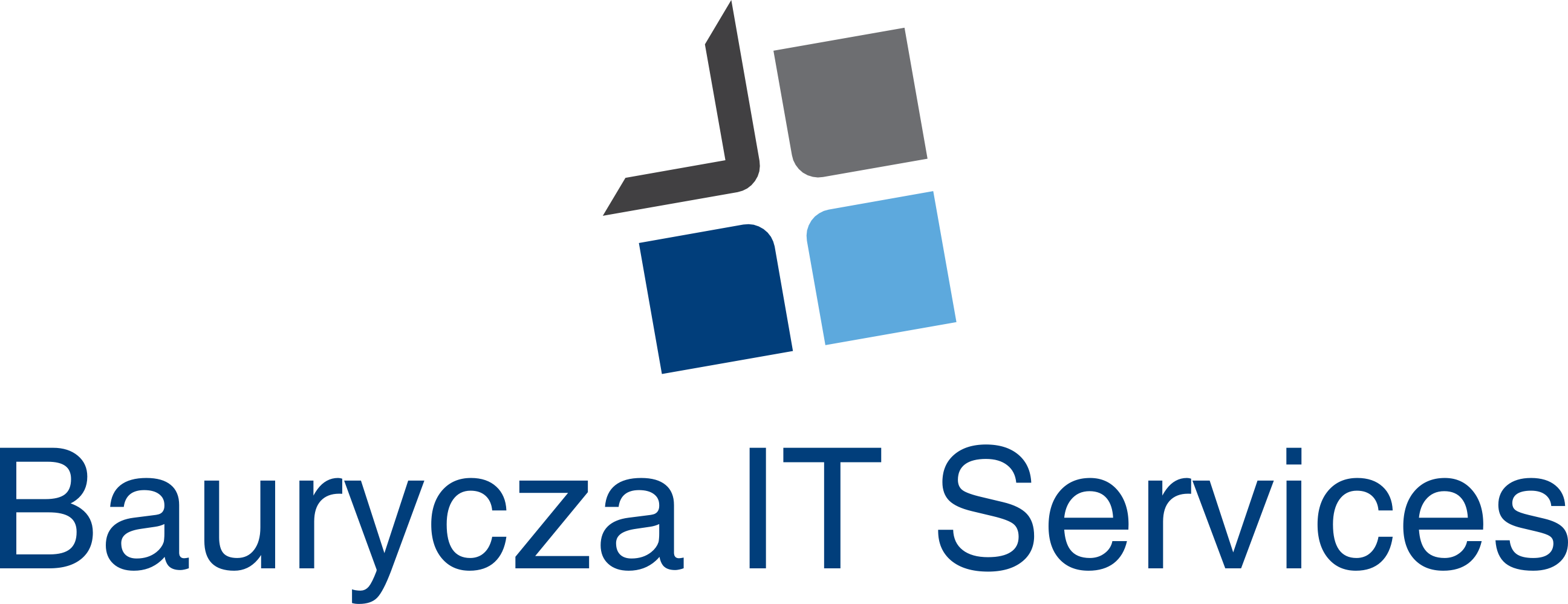 Logo-bauryczaitservices